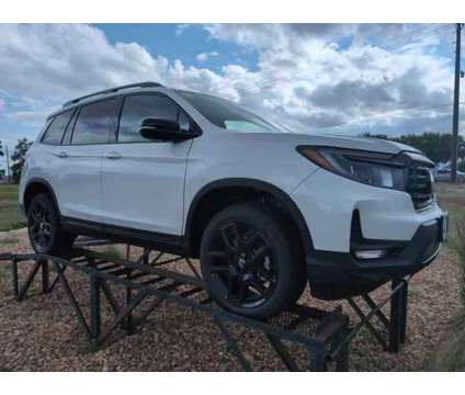 2024 Honda Passport Black Edition is a Silver, White 2024 Honda Passport Car for Sale in Greeley CO