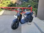 2024 Honda Ruckus Motorcycle for Sale
