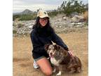 Experienced Nashville House Sitter Offering Trusted Pet and Home Care