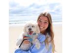 Experienced Pet Sitter in Wilmington, NC - Trustworthy & Affordable Services