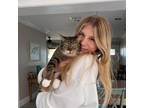Experienced Titusville Pet Sitter: Trustworthy Care at $14/Hour