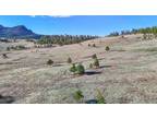 Plot For Sale In Drake, Colorado