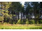 Minnesota Land 1.04 Acres - Beautiful Wooded Land