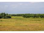 Plot For Sale In Saint Hedwig, Texas