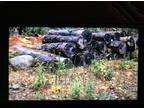 Firewood Free logs. Good Condition!
