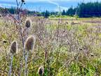 Plot For Sale In Oak Harbor, Washington