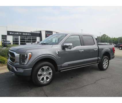 2023 Ford F-150 Platinum is a Grey 2023 Ford F-150 Platinum Truck in Bentonville AR