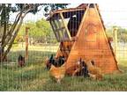 ON SALE- Beautiful Chicken Coops For Your Hens -PORTABLE AND EASILY WINTERIZED