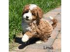 Linus Mini