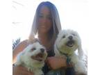 Experienced & Reliable Pet Sitter in Penllyn, PA $15/hr