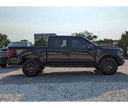 2024 Ford F-150 Tremor is a Black 2024 Ford F-150 Car for Sale in Sarasota FL