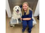 Experienced Pet Sitter and Vet Tech in Beech Grove, IN $35/day