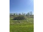 Plot For Sale In Rich Township, Michigan