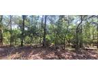 Plot For Sale In Inverness, Florida