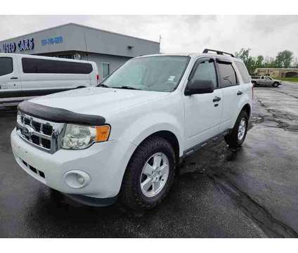 2011 Ford Escape XLT is a White 2011 Ford Escape XLT SUV in New Haven IN