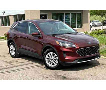 2021 Ford Escape SE is a Tan 2021 Ford Escape SE SUV in Ortonville MI