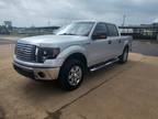 2011 Ford F-150 Platinum SuperCrew 6.5-ft. Bed 2WD