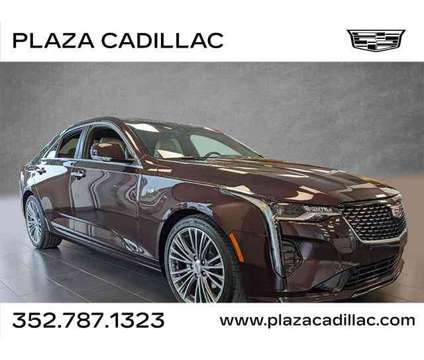 2021 Cadillac CT4 Premium Luxury is a Red 2021 Sedan in Leesburg FL