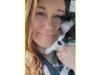 Experienced & Reliable Pet Sitter in Lemon Grove, CA $20/hr - Book Now!