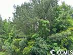 Plot For Sale In Conway, South Carolina