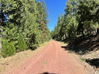 N. California Land 0.94 Acres - Private and Secluded
