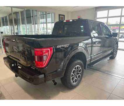 2021UsedFordUsedF-150Used4WD SuperCrew 5.5 Box is a Black 2021 Ford F-150 Car for Sale in Milwaukee WI