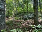 Land for Sale by owner in Hayesville, NC