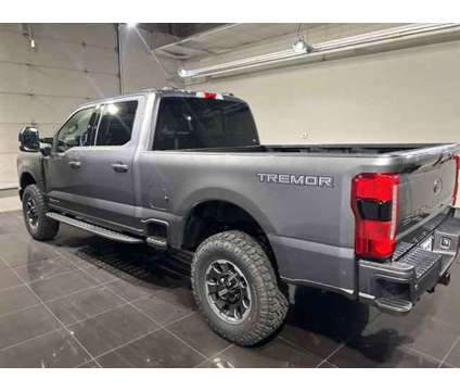 2024 Ford Super Duty F-250 SRW LARIAT is a Grey 2024 Ford Car for Sale in Madison WI