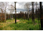 Lot 554 Coleman Place Fort Garland, CO -