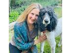 Experienced Pet Sitter in Gualala, CA Trustworthy Care at $50 Daily