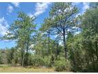 Plot For Sale In Dunnellon, Florida