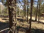 Plot For Sale In Angel Fire, New Mexico