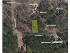 Plot For Rent In Greenbackville, Virginia