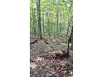 Plot For Sale In Chautauqua, New York