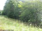 Plot For Sale In Davis, West Virginia