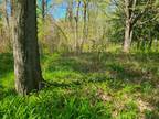 Plot For Sale In Coloma, Michigan