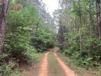 Plot For Sale In Wesson, Mississippi