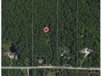 Foreclosure Property: Bay Arenac Line Rd