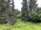 Plot For Sale In Ninilchik, Alaska