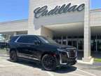 2021 Cadillac Escalade Premium Luxury Platinum