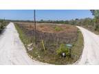 Plot For Sale In Lamont, Florida