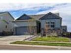 297 Mora Pl Erie, CO