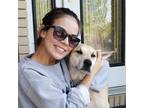 Experienced Pet Sitter in Medicine Hat, Alberta - Trustworthy Care at $45 Daily