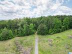 Plot For Sale In Centreville, Alabama