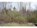 Plot For Sale In Mesick, Michigan