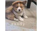 Sandy