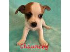 Chauncey