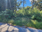 Land for Sale by owner in Mims, FL