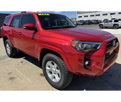 2024 Toyota 4Runner SR5 Premium is a Red 2024 Toyota 4Runner SR5 Car for Sale in Trinidad CO
