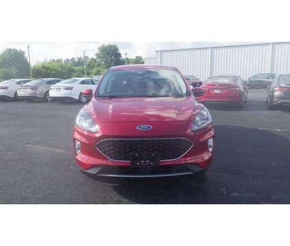 2022 Ford Escape SEL is a Red 2022 Ford Escape SEL Car for Sale in Taylorville IL